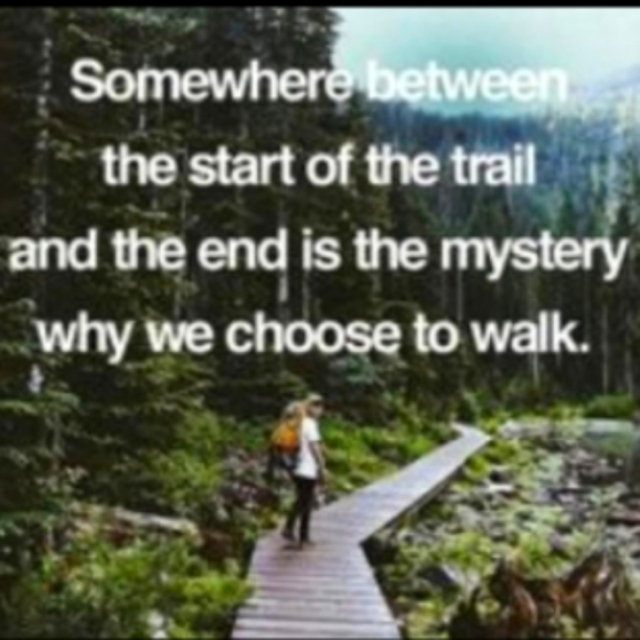 🧁 Calphalon Muffin Tin 12 EPLC - Picture 15 of 16